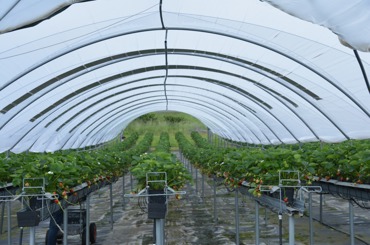 Polysolar Featured on BBC Radio 4 Farming Today